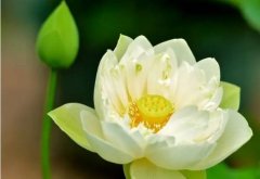 唯有守住“脚底板下出实知”的朴